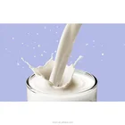 New wholesale New Arrival Fresh Milk Flavor For Food Dairy Flavors