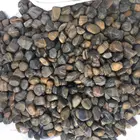Pebble Stone Pebble Stripe Natural Loose Pebble Stone For Flooing