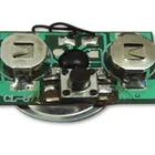 Birthday or Christmas greeting card sound modules