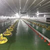 /product-detail/automatic-broiler-chicken-farm-equipment-poultry-from-china-supplier-62010972410.html