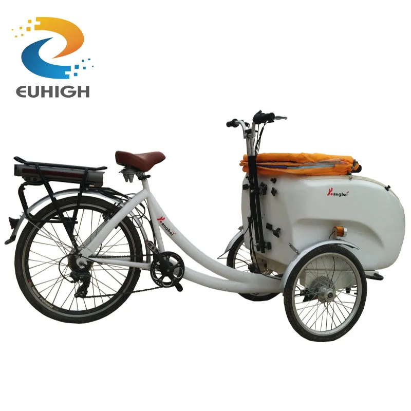 Yetişkin elektrikli 3 tekerlekli bisiklet kargo bisiklet