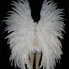 /product-detail/handmade-customized-colorful-fairy-wings-with-quick-delivery-60422787630.html