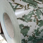Prepainted galvanized steel Camouflage Color coated Printing plate PPGI for metal roof