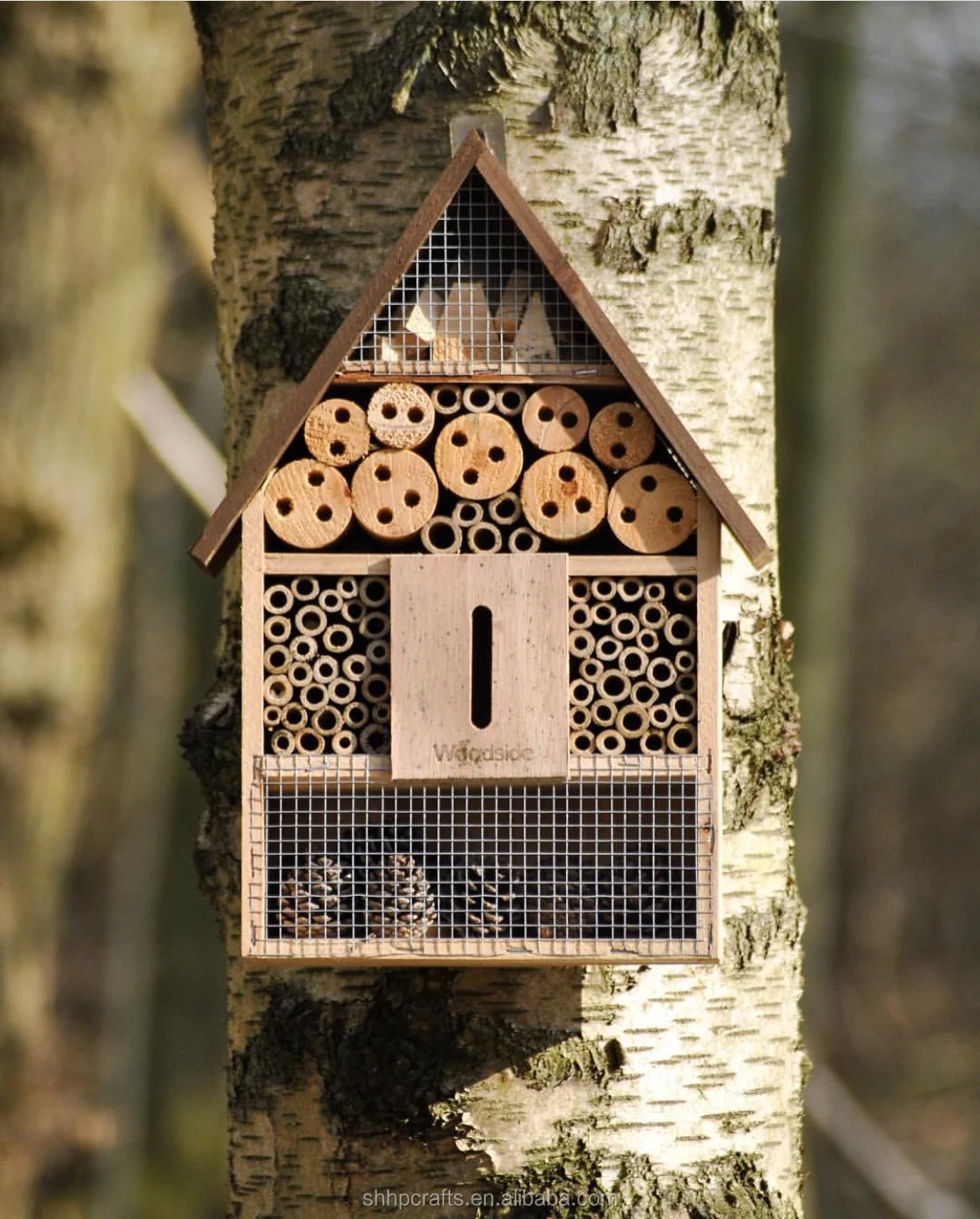 NEST-0028A.JPG