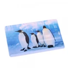 Credit Card usb flash drive stick with color printed usb memory stick Logo