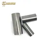 Wearable fastener mould carbide nut bolt screw dies nut/bolt forging dies for fastener parts