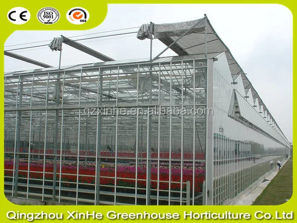 Large Multi Span Glass Green House