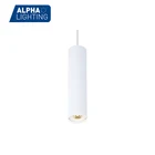 10W led luxury lamps for living and dining,led luxury ceiling light for home
