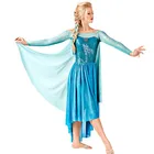 High Quality Wholesale Cosplay Adult Dress Frozen Princess Elsa Costume