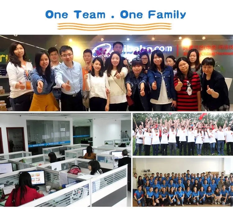 Top quality custom Pokemon go Mega Evolution plush toy