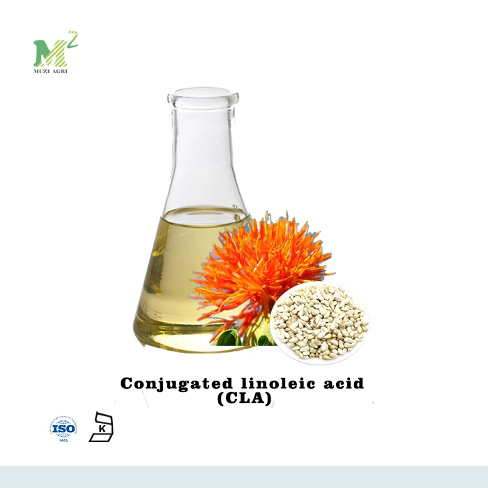 Muzi cung cấp tốt nhất dầu hạt Rum chiết xuất Conjugated Axit Linoleic 40% CLA bột nhà máy giá