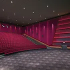 100% Nylon Wall To Wall Carpet For Cinema