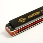 24 Holes Harmonica 24 24 Hole Harmonica Easttop T2406K 24 Holes Tremolo Professional Harmonica