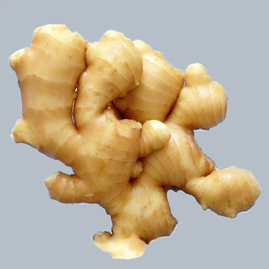 price of fresh ginger in egypt