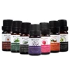 /product-detail/oem-10ml-wholesale-private-label-natural-organic-100-pure-aroma-massage-essential-oils-bulk-aromatherapy-gift-set-essential-oil-62214111158.html