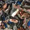 /product-detail/alibaba-china-lots-of-fairly-used-shoes-for-sale-in-dubai-60780026009.html