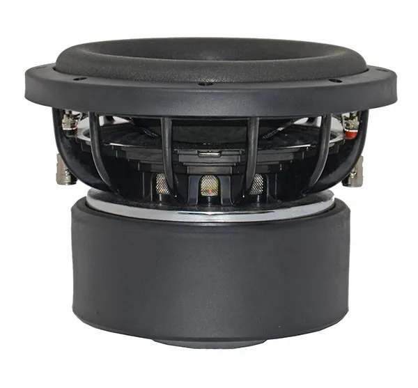 car subwoofer.JPG