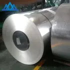 Building Material Galvanized Steel Coil For Building Material