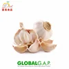 /product-detail/garlic-price-2018-fresh-60763160020.html