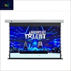 Top Grade High Quality Household Glass Fiber Motorized Projection Screen with Mute Tubular Motor WG1 Pro 4K