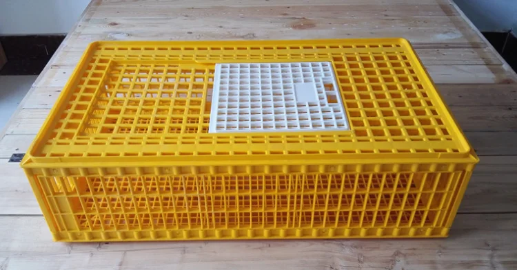 dispaly chicken transport cage.png