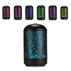 100ml Essential Oil Premium Iron Aromatherapy Diffuser