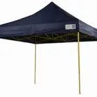 Dye sublimation printing sports event ez up instant canopy tent shelter