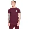 ASSUN 2018 New Fashion Quick Dry Cotton Sport T Shirt For Men Gym Shirt From China Manufacturer