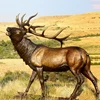 /product-detail/popular-designs-garden-bronze-deer-sculpture-60476424517.html