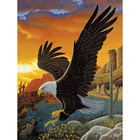 3d pictures of birds eagle animal vivid design for 3d pictures of eagle