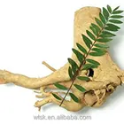 Ali Ali Extract Sexing Men Health Tongkat Ali Root Extract
