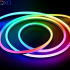 Rgb Digital Rgb Dome Surface WS2811 WS2812B SPI RGB Colorful Light Addressable Neon Led Strip