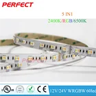 60LEDs/m Led Light Strip RGB+WW+CW Led Light Strip Led Light Strip Led