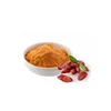 /product-detail/factory-supply-pure-and-organic-fd-goji-powder-62031487569.html