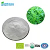 Natural Organic Bulk Pure Stevia Extract RA 98% 95%