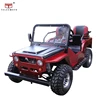 /product-detail/tl-20-new-style-110cc-125cc-150cc-go-kart-buggy-for-sale-60824726990.html