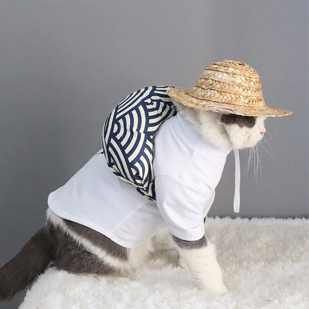 71SWYgbD2WL._SL1001_