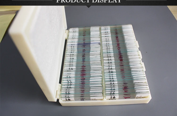 Histological Slice Microscope Slides.jpg