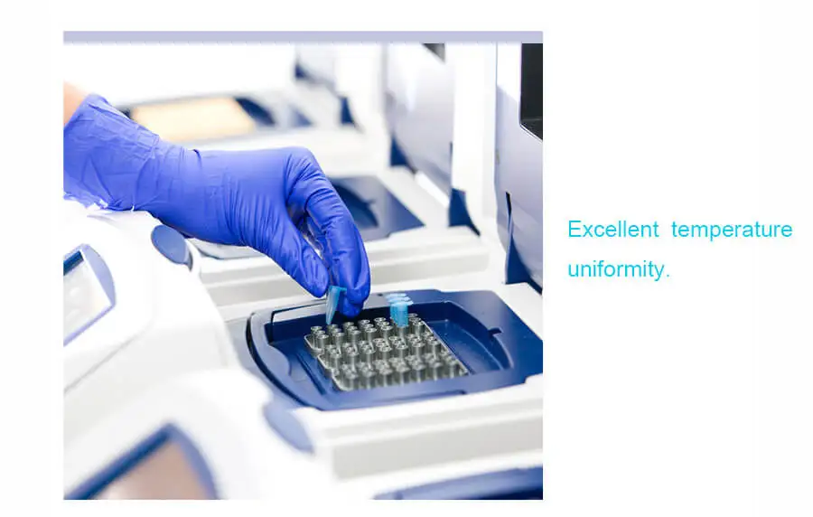 PCR thermal cycle (7)