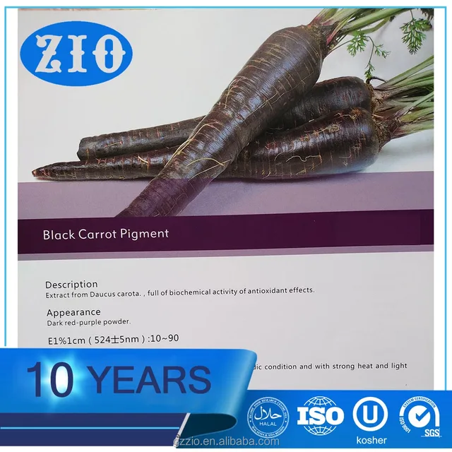 blackcarrot,carrotcartoon black carrot pigment food color powder.