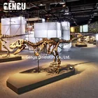 Dinosaur Fossil Manufacturer Dinosaur Skeleton Model For Sale