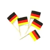 /product-detail/german-flag-mini-picks-toothpicks-oktoberfest-144-picks-60232741859.html