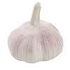 /product-detail/import-chinese-fresh-natural-garlic-pack-of-3-pieces-60715339879.html