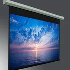 300 Inch Projector Screen ,Motorised Outdoor Screen,Electric Screen