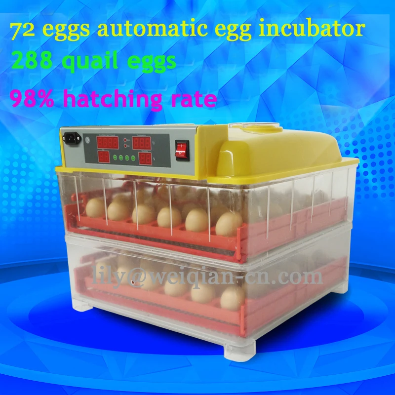 Incubator for quail eggs
