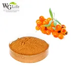 China factory sea buckthorn fruit powder concentrate sea buckthorn flavonoids