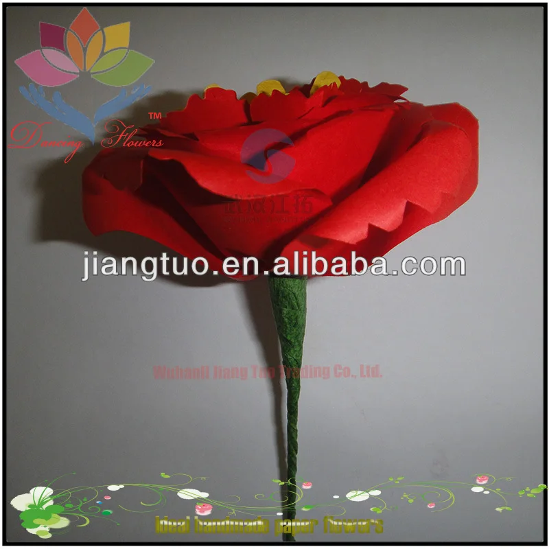 gifts & crafts  flowers  orchid flower  butterfly orchid flowers