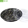 Easy Green Big Size Round Party Tray With Clear Lid
