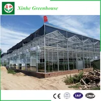 Horticultural And Agricultural Glass Greenhouse For