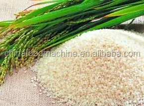 Rice Mill Machine Rice Milling Machine Complete Set Combined Commercial Grain Grinder Rice Maize Mill Machinery factory